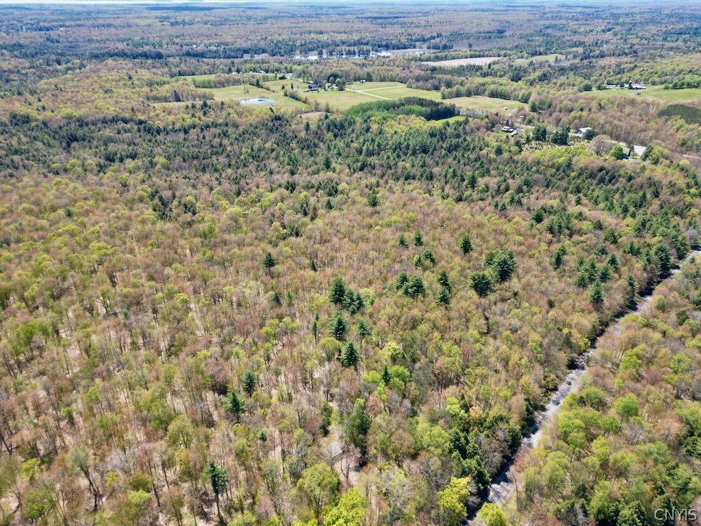 North Hillsborough Road Camden, NY 13316 - Photo 12 of 13