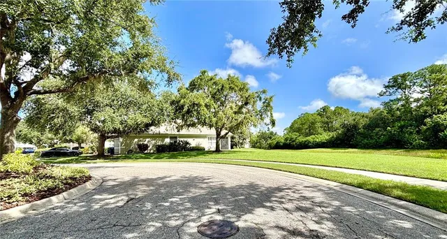 a view of a park with large trees