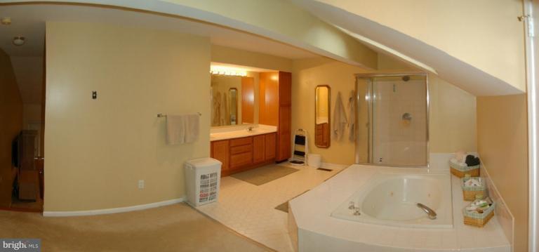 11 Suncroft Court Silver Spring, MD 20904 - Photo 18 of 21 Bath (Master)