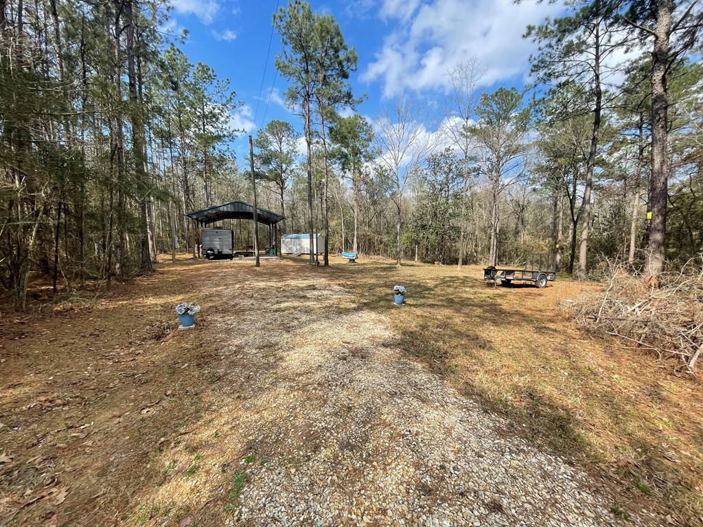 9159 Osyka Progress Road Osyka, MS 39657 - Photo 4 of 20 Photo 4