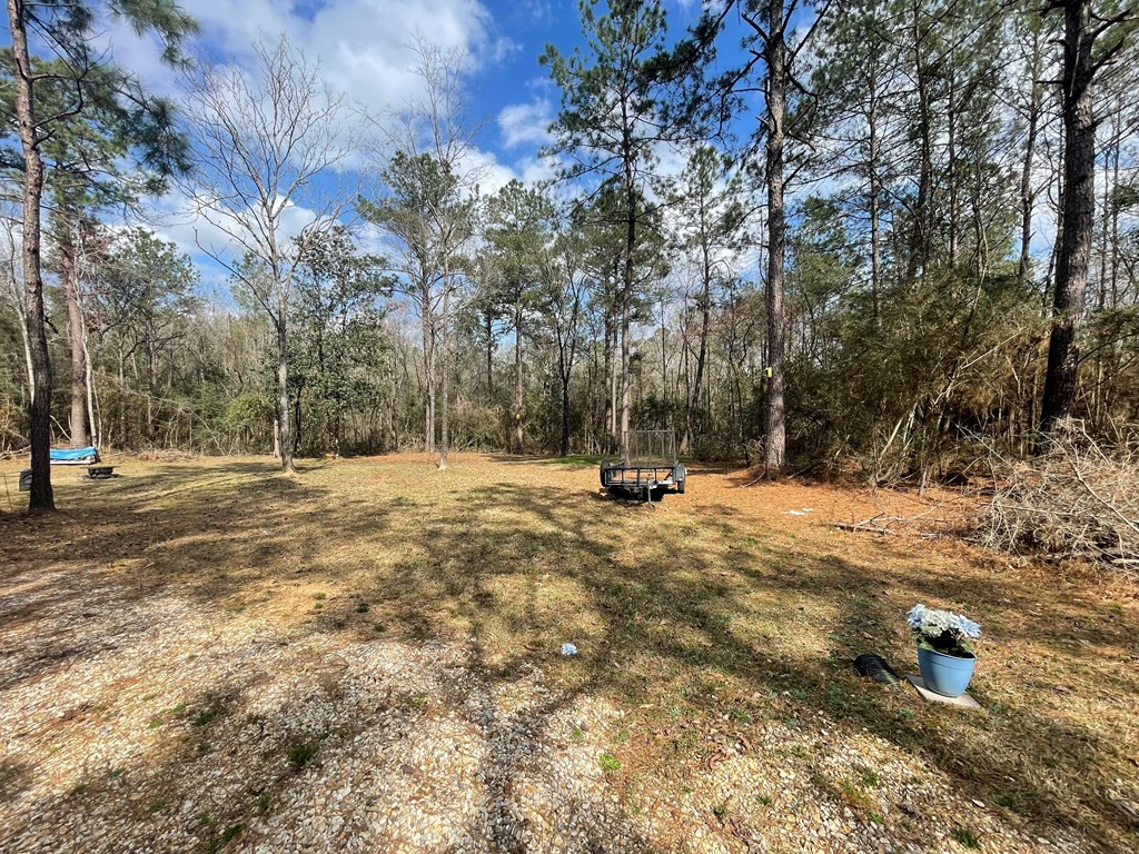 9159 Osyka Progress Road Osyka, MS 39657 - Photo 6 of 20 Photo 6