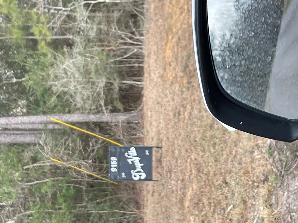 9159 Osyka Progress Road Osyka, MS 39657 - Photo 8 of 20 Photo 8