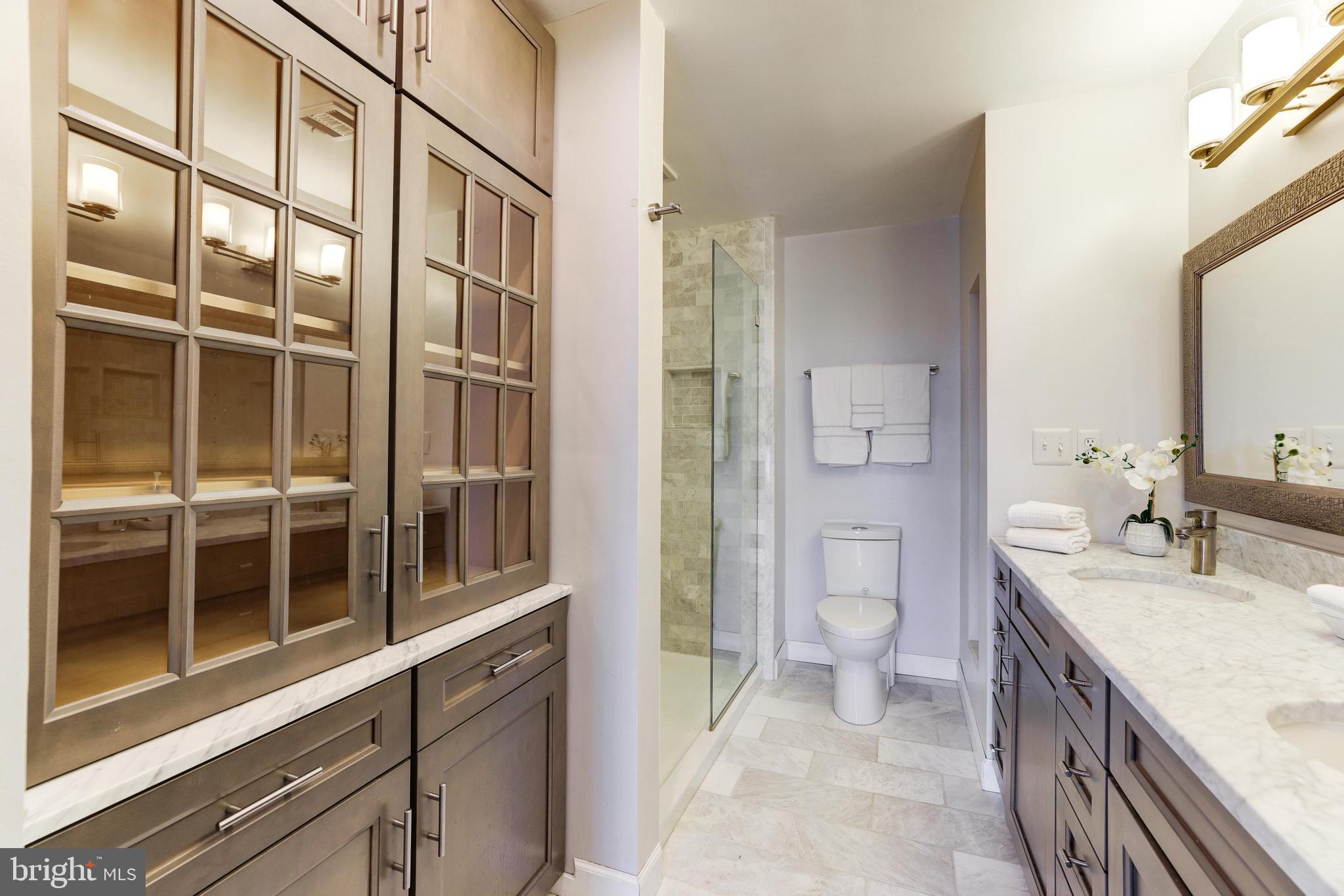 9053 Ottawa Place Silver Spring, MD 20910 - Photo 26 of 65 Premium dual vanity with extra storage space