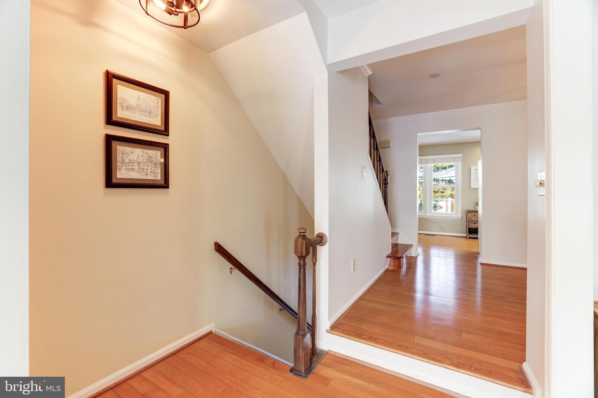 9053 Ottawa Place Silver Spring, MD 20910 - Photo 31 of 65 Hallway to the basement