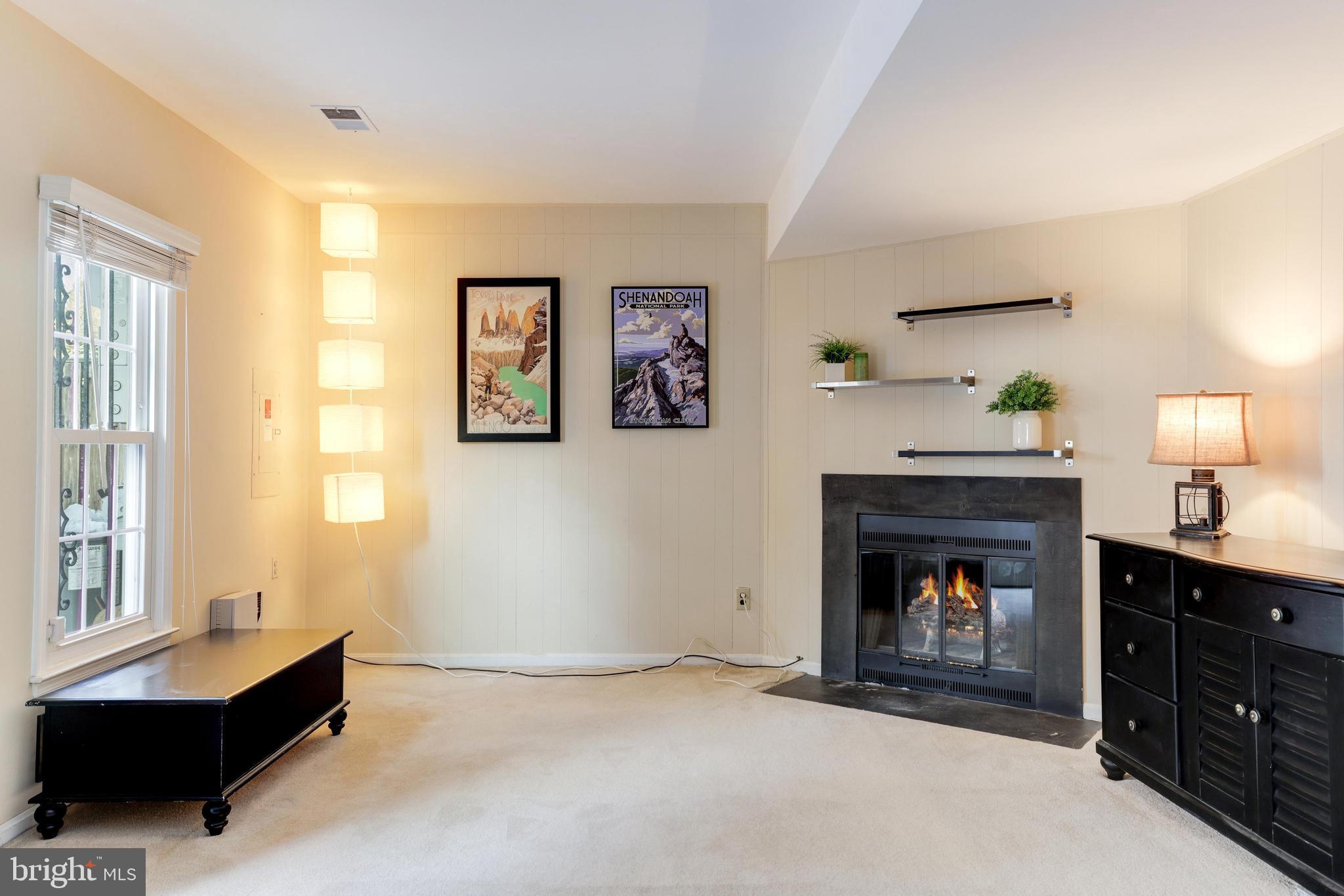 9053 Ottawa Place Silver Spring, MD 20910 - Photo 35 of 65 Cozy up to the wood burning fireplace