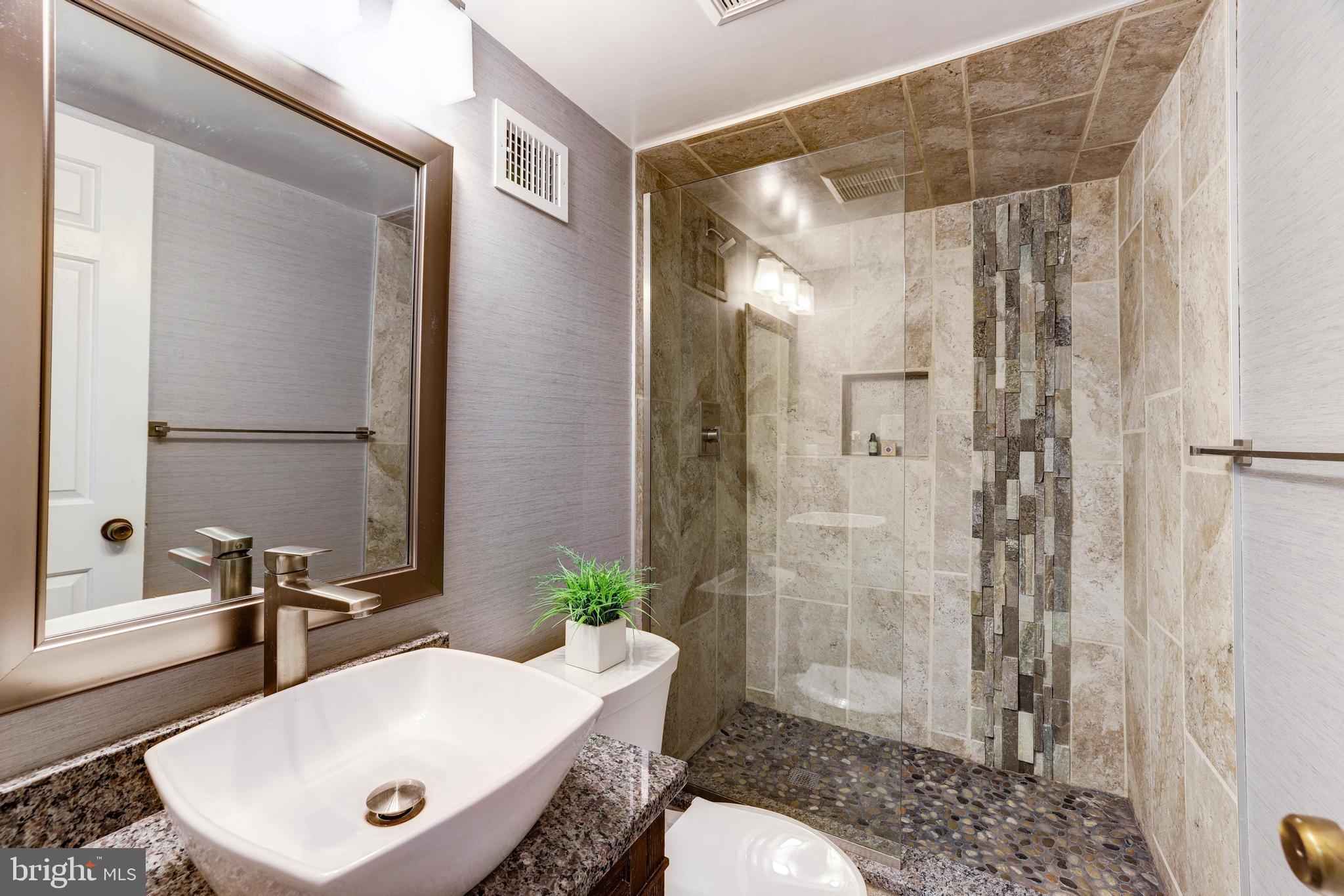 9053 Ottawa Place Silver Spring, MD 20910 - Photo 39 of 65 Updated lower level bath w/ enlarged shower