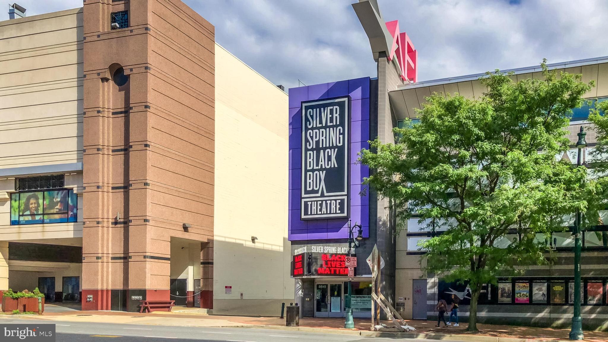 9053 Ottawa Place Silver Spring, MD 20910 - Photo 48 of 65