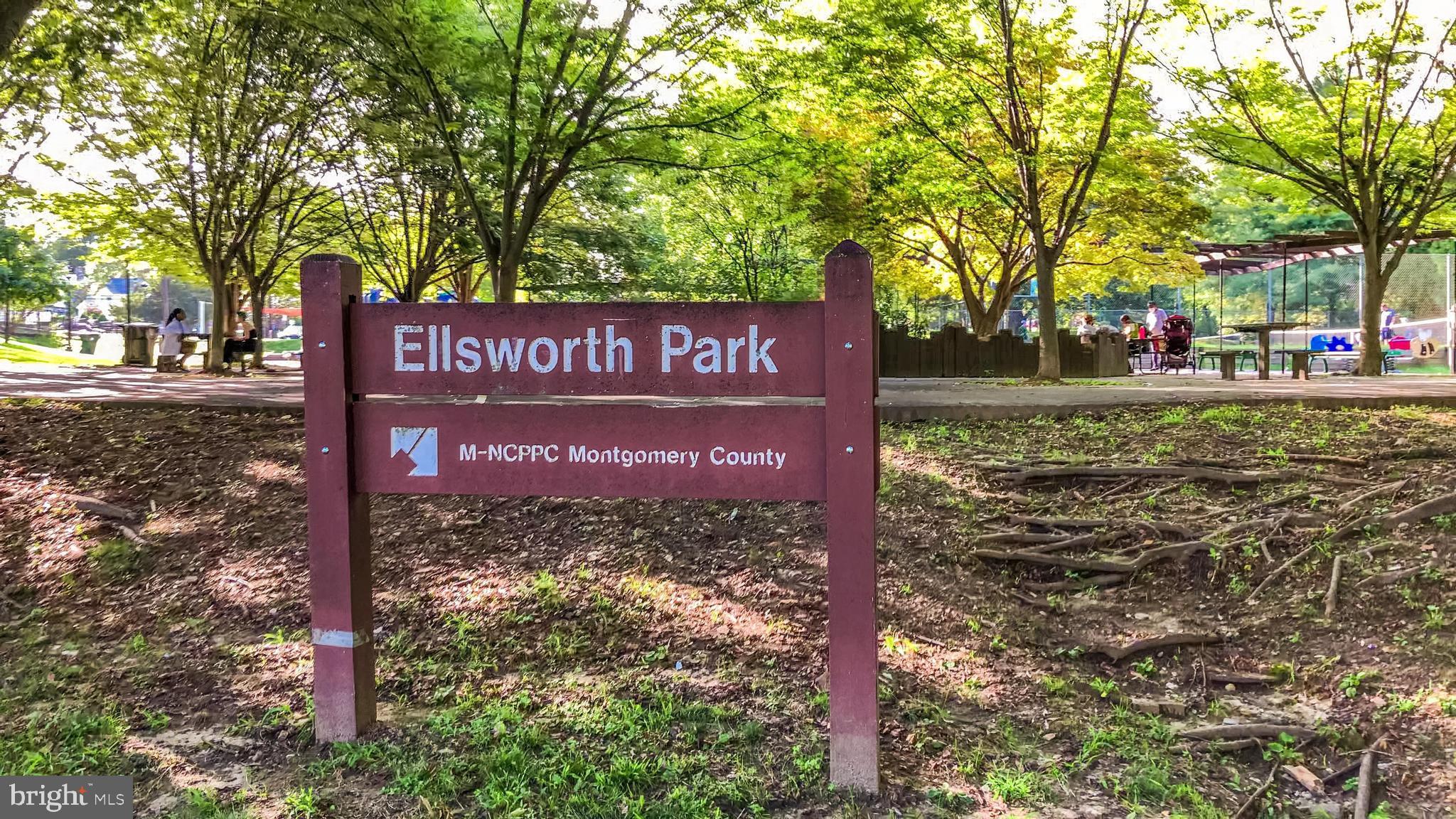 9053 Ottawa Place Silver Spring, MD 20910 - Photo 60 of 65