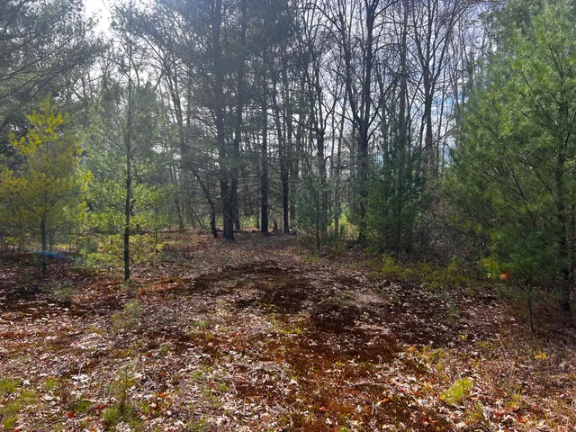 $209,000 | 13460 Baldwin Drive, Bitely, MI 49309