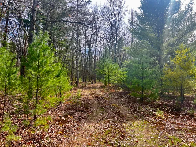 $209,000 | 13460 Baldwin Drive, Bitely, MI 49309