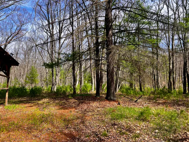 $209,000 | 13460 Baldwin Drive, Bitely, MI 49309