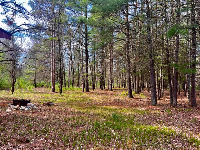 $209,000 | 13460 Baldwin Drive, Bitely, MI 49309