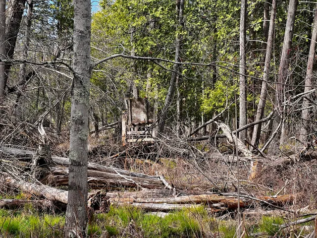 $209,000 | 13460 Baldwin Drive, Bitely, MI 49309