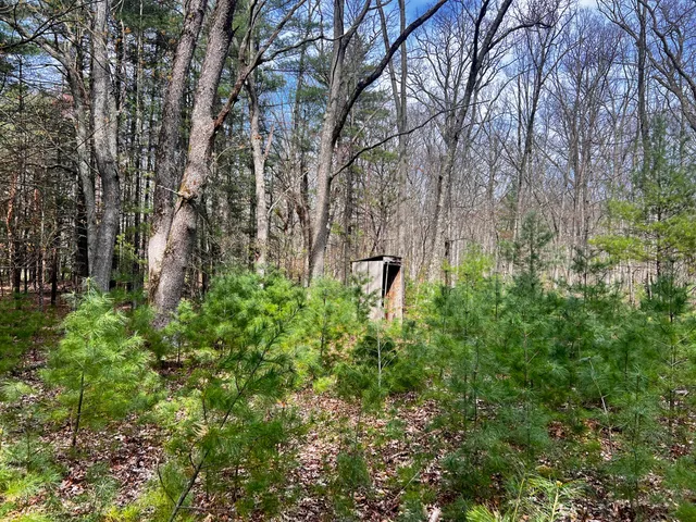 $209,000 | 13460 Baldwin Drive, Bitely, MI 49309