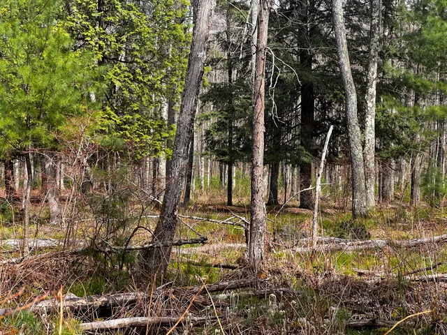 $209,000 | 13460 Baldwin Drive, Bitely, MI 49309