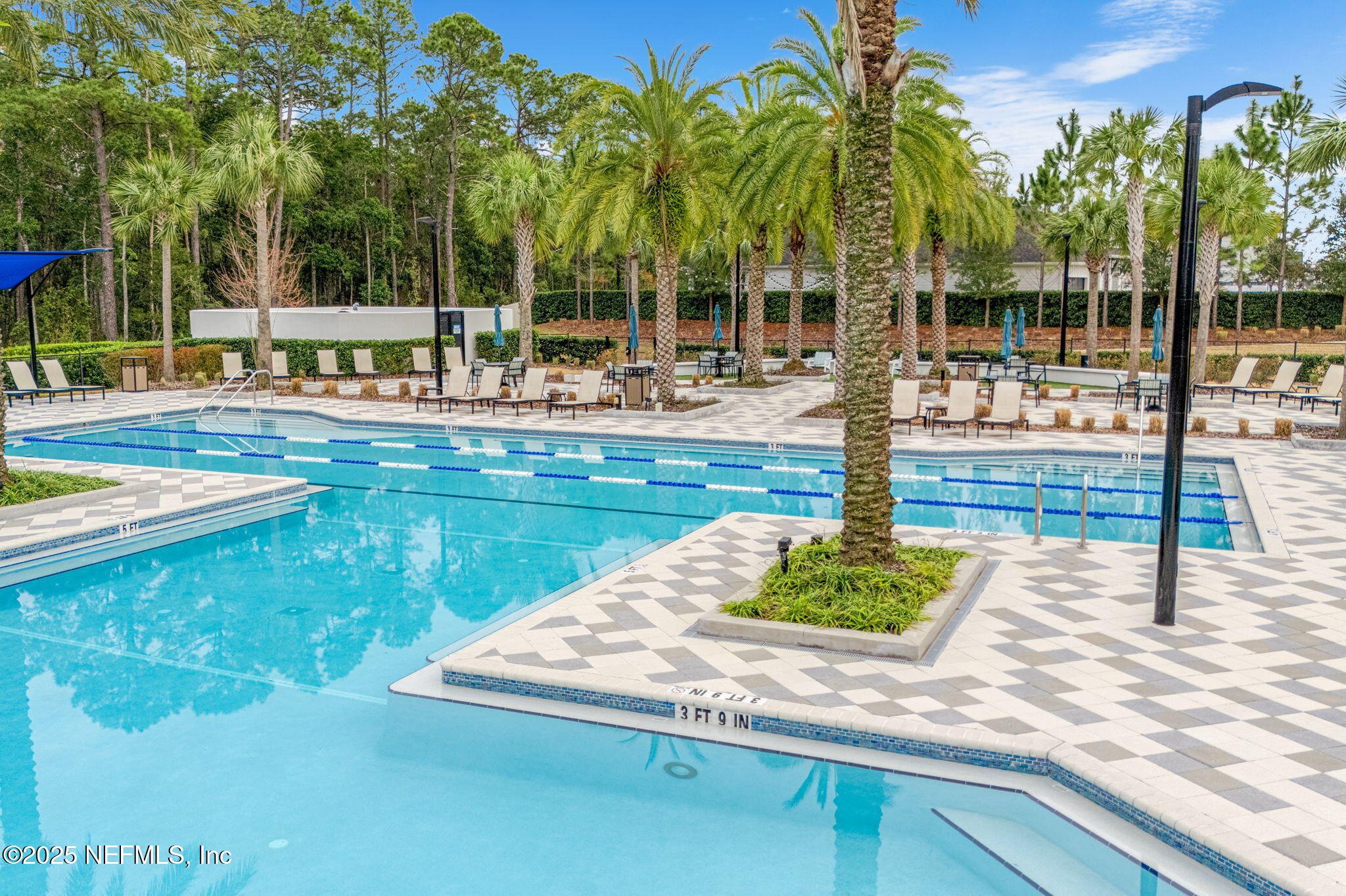 9918 Filament Boulevard Jacksonville, FL 32256 - Photo 101 of 106 a view of a swimming pool with a lawn chairs under palm trees