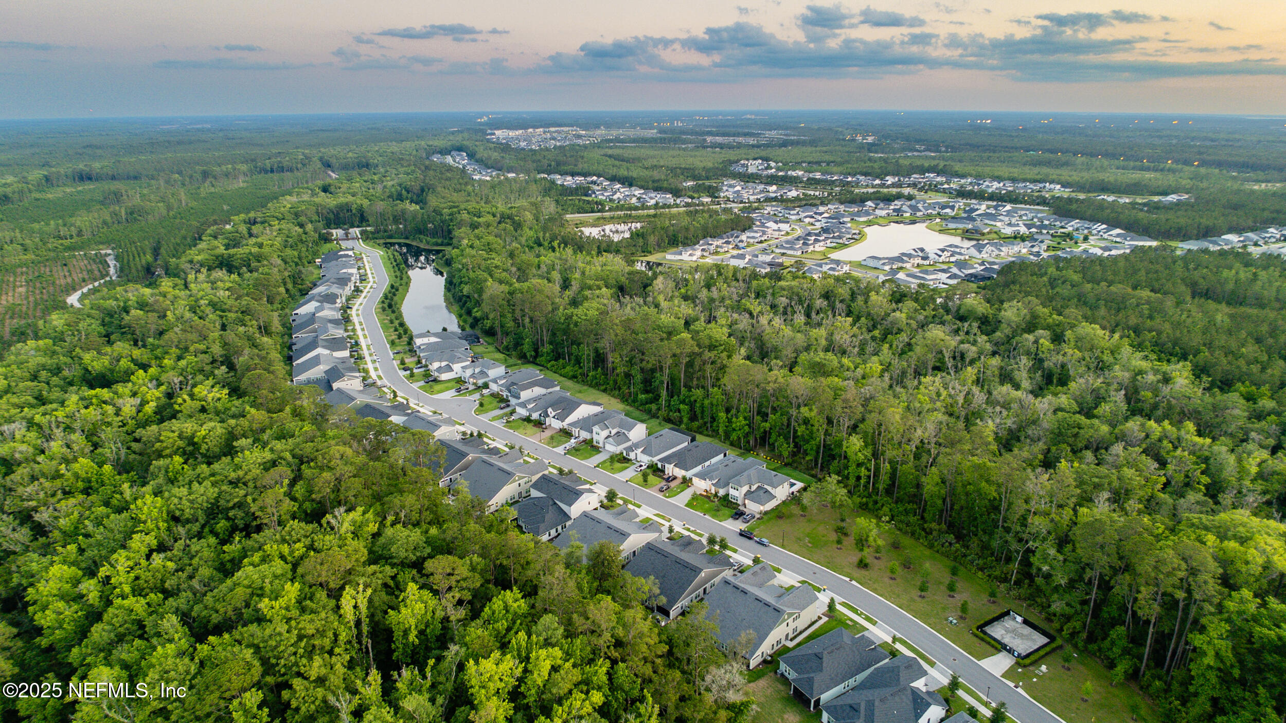 9918 Filament Boulevard Jacksonville, FL 32256 - Photo 64 of 106 an aerial view of residential houses with outdoor space and trees