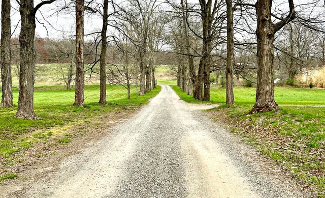 a view of an outdoor space with a garden