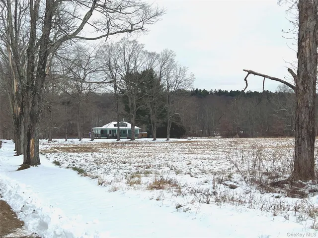 a view of a backyard of a house