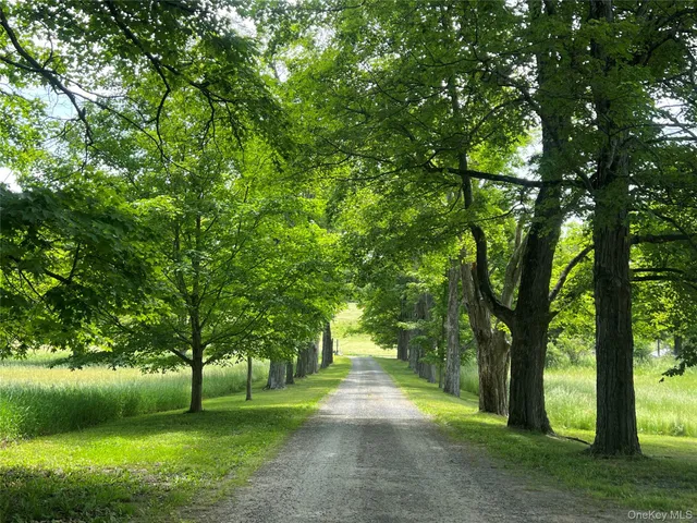 a view of a park with large trees