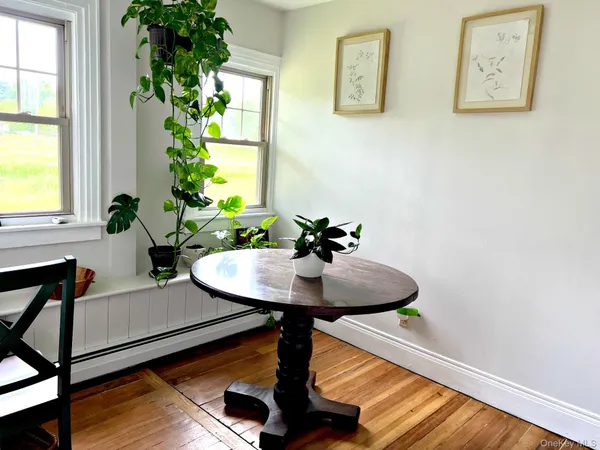 a room with potted plants wooden floor and a potted plant
