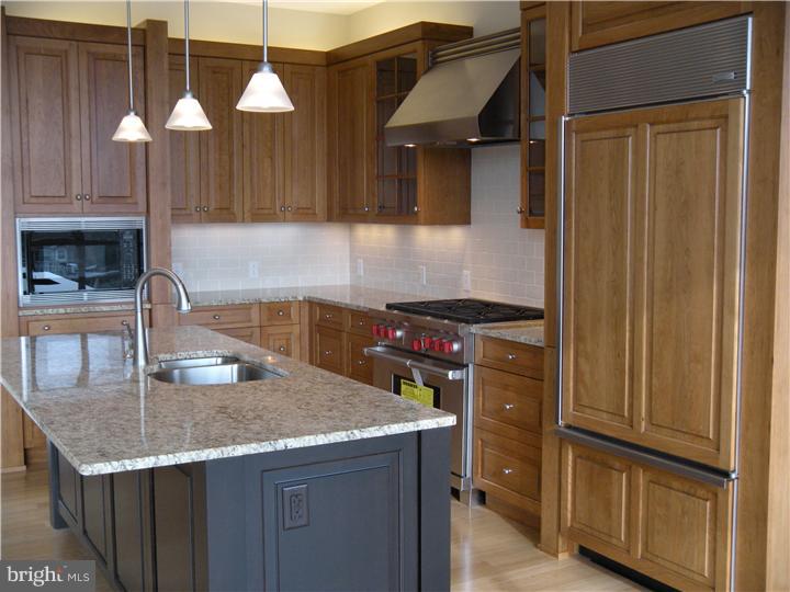 225 Iron Works Way Wayne, PA 19087 - Photo 3 of 15 Kitchen