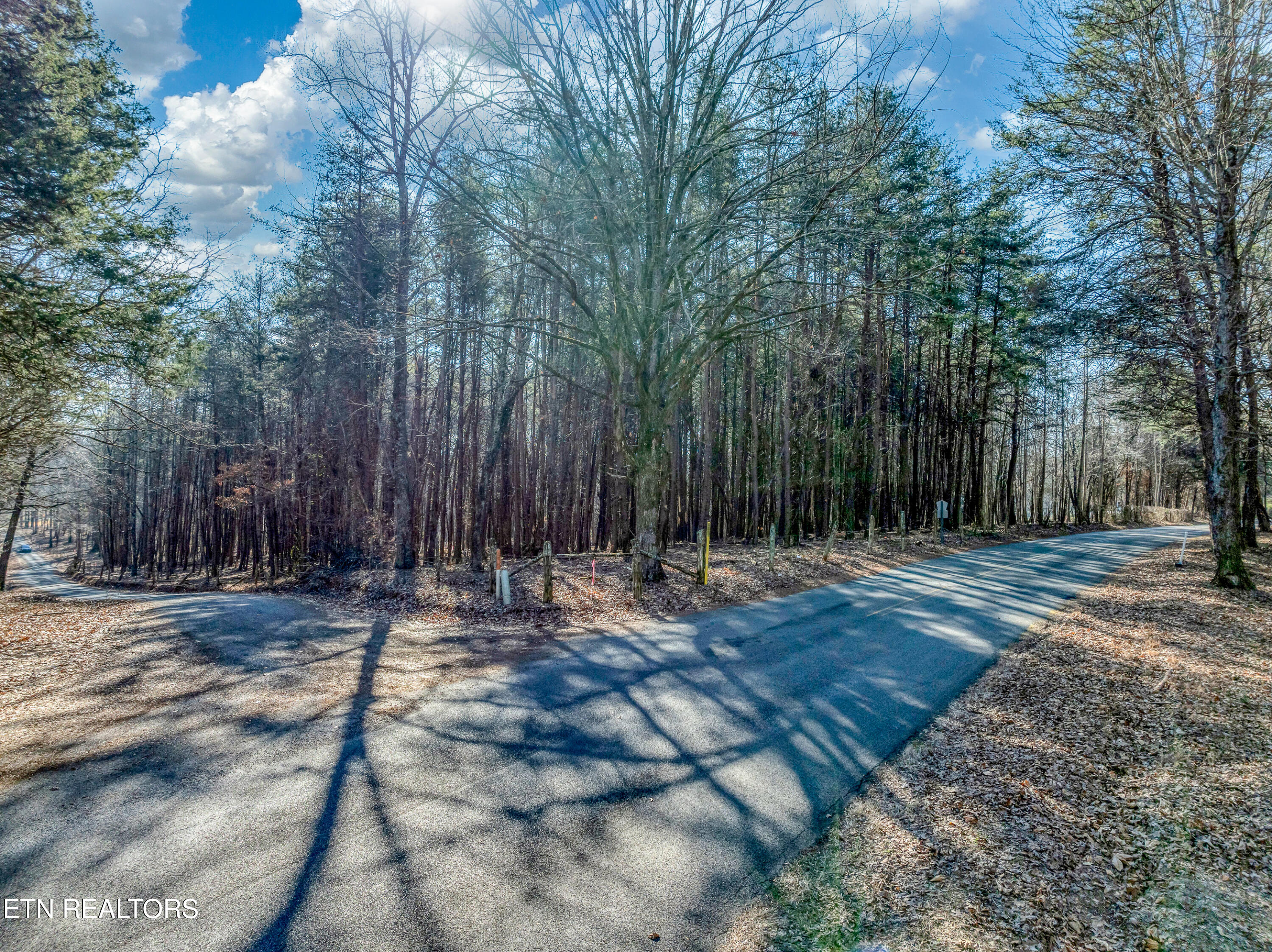 260 Co Road Niota, TN 37826 - Photo 8 of 11 DJI_0568