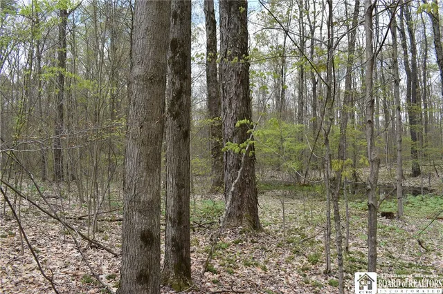 $209,000 | Earl Seaton Road, Randolph, NY 14772