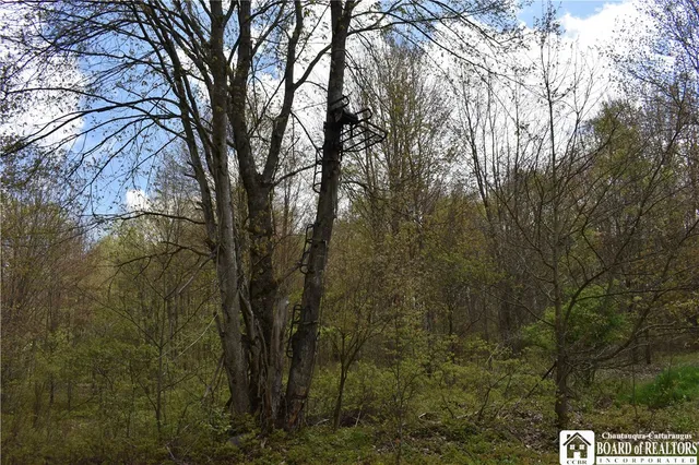 $209,000 | Earl Seaton Road, Randolph, NY 14772