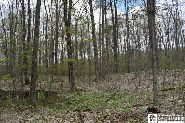 $209,000 | Earl Seaton Road, Randolph, NY 14772