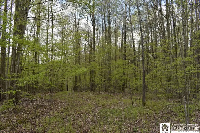 $209,000 | Earl Seaton Road, Randolph, NY 14772