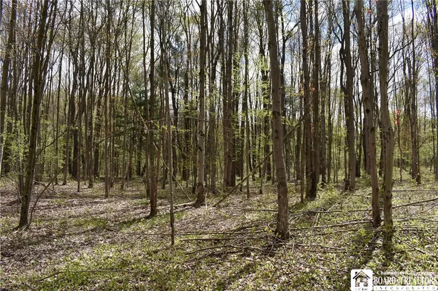 $209,000 | Earl Seaton Road, Randolph, NY 14772