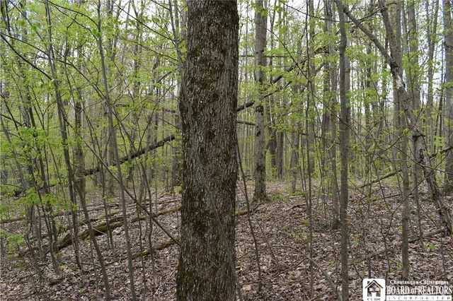 $209,000 | Earl Seaton Road, Randolph, NY 14772