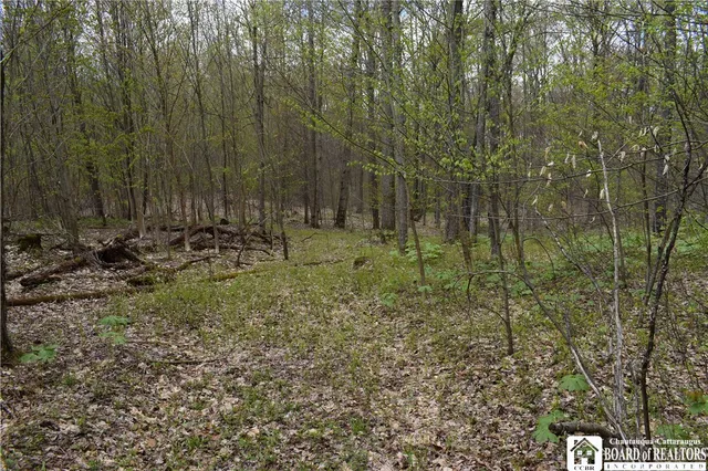 $209,000 | Earl Seaton Road, Randolph, NY 14772