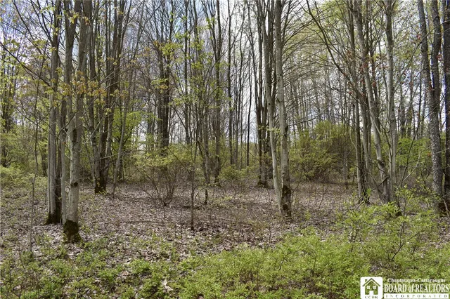 $209,000 | Earl Seaton Road, Randolph, NY 14772