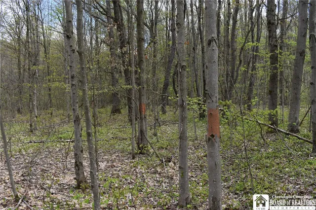 $209,000 | Earl Seaton Road, Randolph, NY 14772