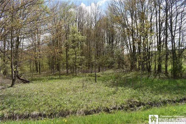 $209,000 | Earl Seaton Road, Randolph, NY 14772