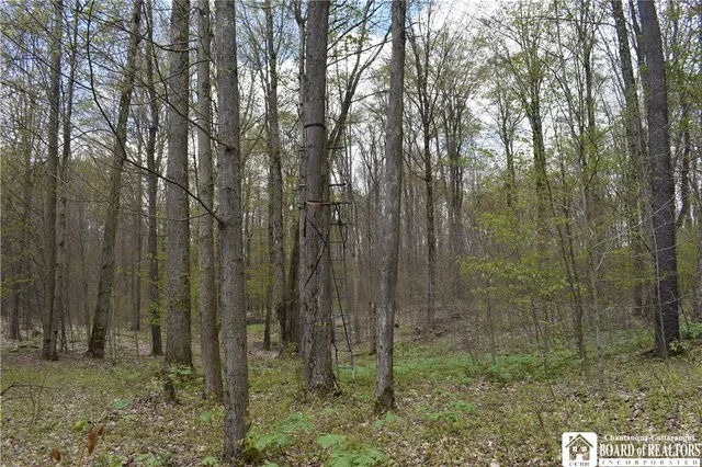 $209,000 | Earl Seaton Road, Randolph, NY 14772