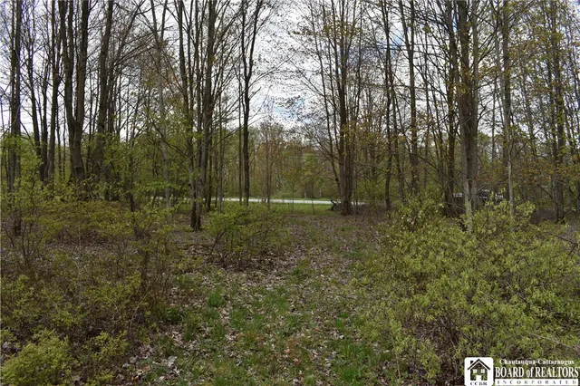 $209,000 | Earl Seaton Road, Randolph, NY 14772