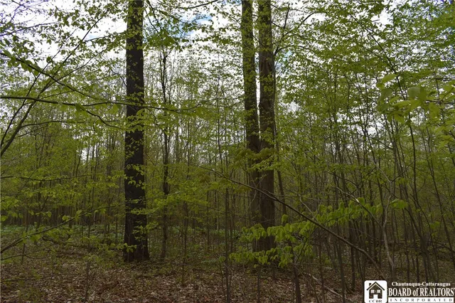 $209,000 | Earl Seaton Road, Randolph, NY 14772