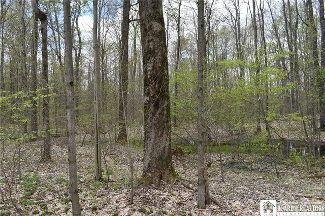 $209,000 | Earl Seaton Road, Randolph, NY 14772