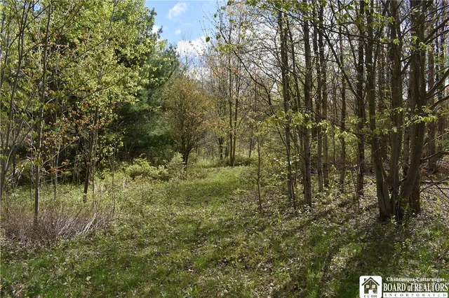 $209,000 | Earl Seaton Road, Randolph, NY 14772