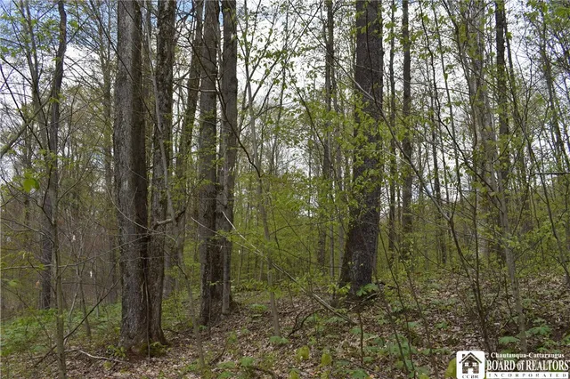 $209,000 | Earl Seaton Road, Randolph, NY 14772