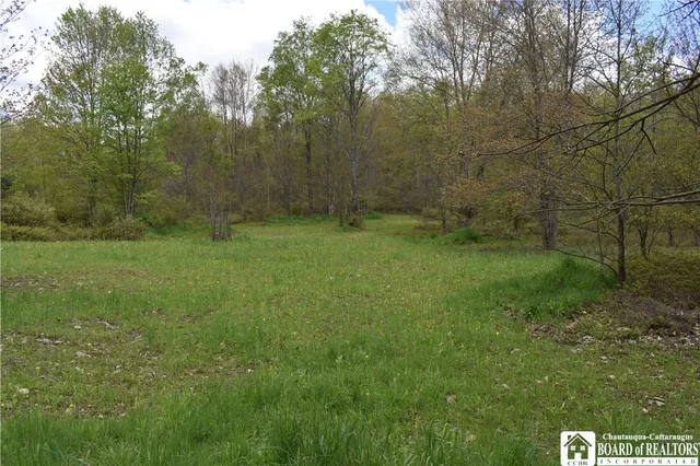 $209,000 | Earl Seaton Road, Randolph, NY 14772