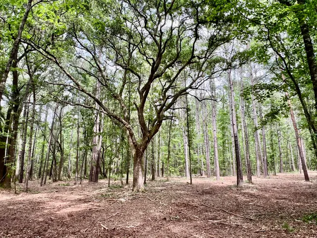 $75,000 | 2 Becky Lane, Yemassee, SC 29945