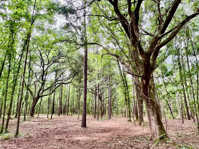 $75,000 | 2 Becky Lane, Yemassee, SC 29945