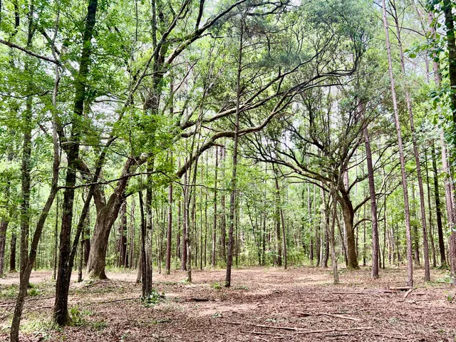 $75,000 | 2 Becky Lane, Yemassee, SC 29945