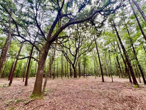 $74,000 | 2 Becky Lane, Yemassee, SC 29945