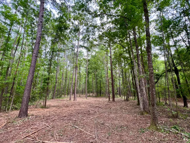 $75,000 | 2 Becky Lane, Yemassee, SC 29945