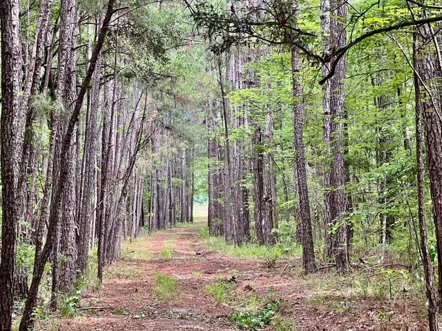 $75,000 | 2 Becky Lane, Yemassee, SC 29945